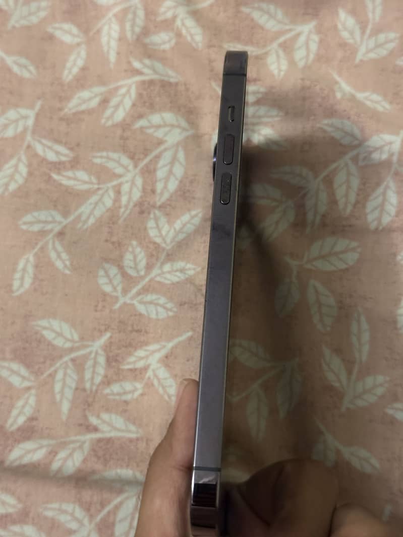 iPhone 14 Pro Max 3
