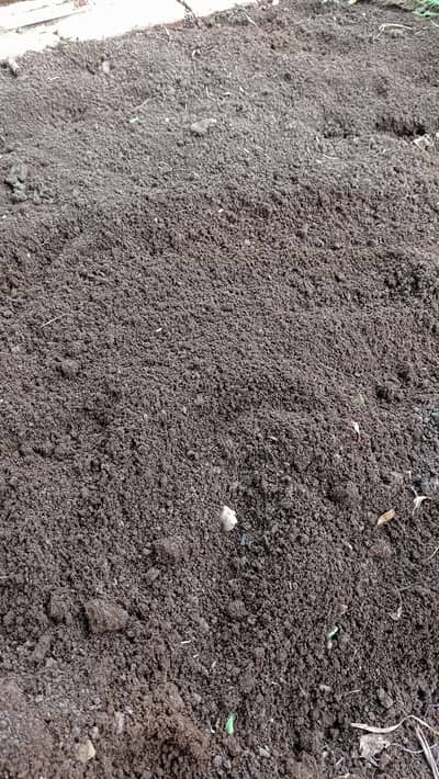  قدرتی کیچوا کھاد ۔ Vermicompost 