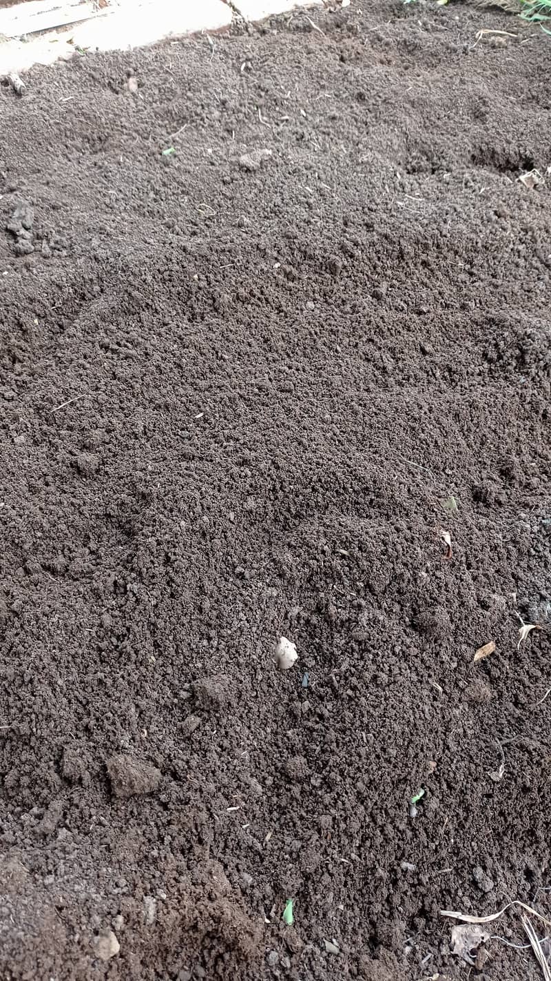 قدرتی کیچوا کھاد ۔ Vermicompost 0