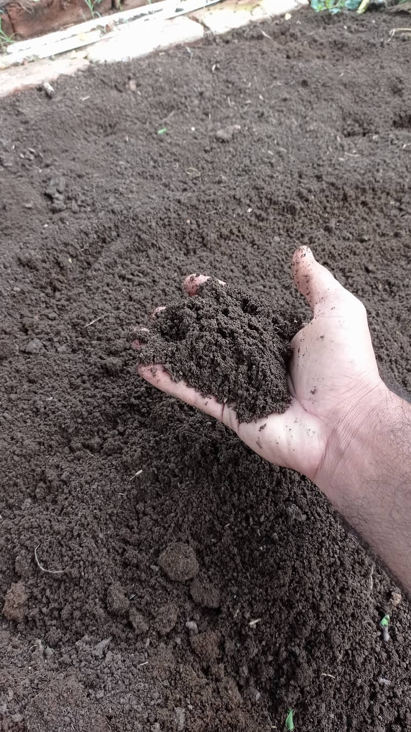 قدرتی کیچوا کھاد ۔ Vermicompost 1