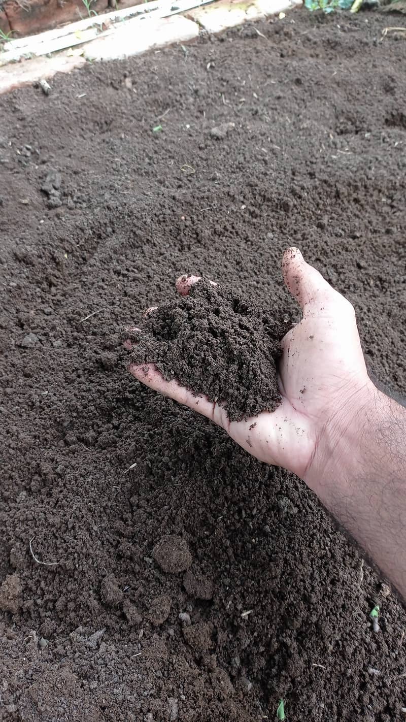 قدرتی کیچوا کھاد ۔ Vermicompost 2