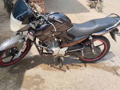 Yamaha ybr 125