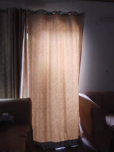 skin color curtains