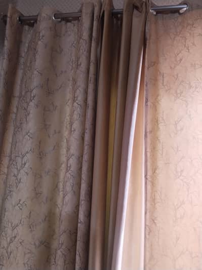 skin color curtains