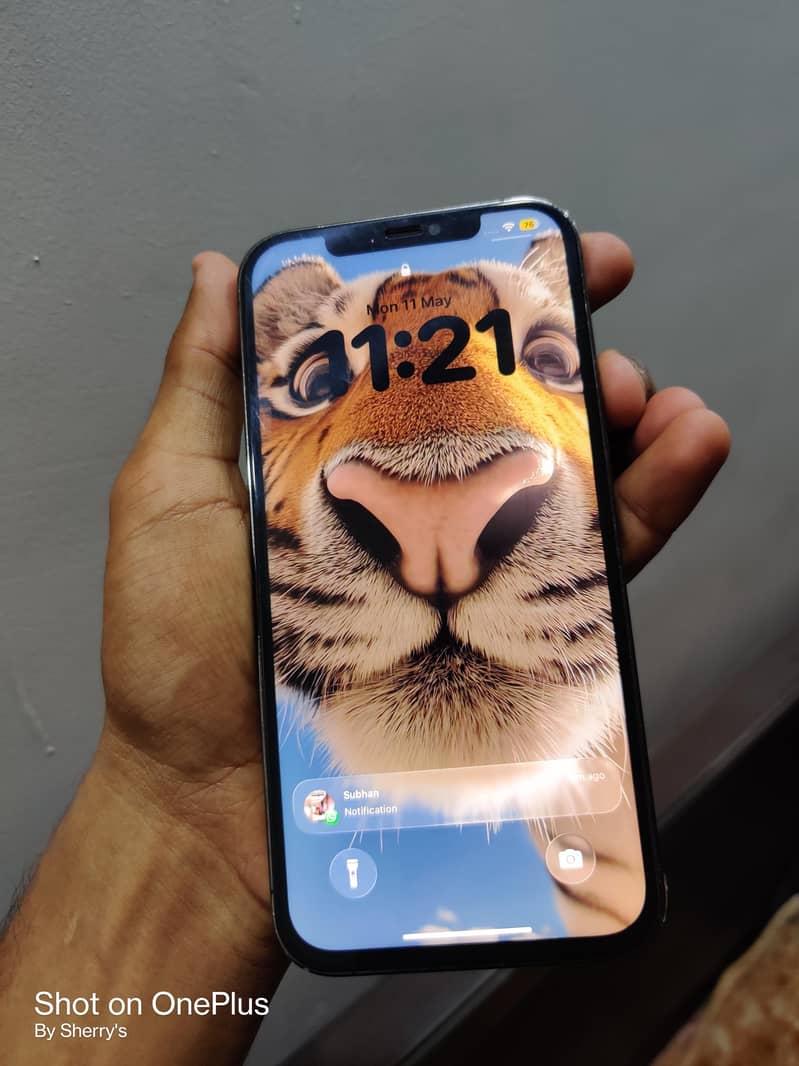 iphone 12pro max 1