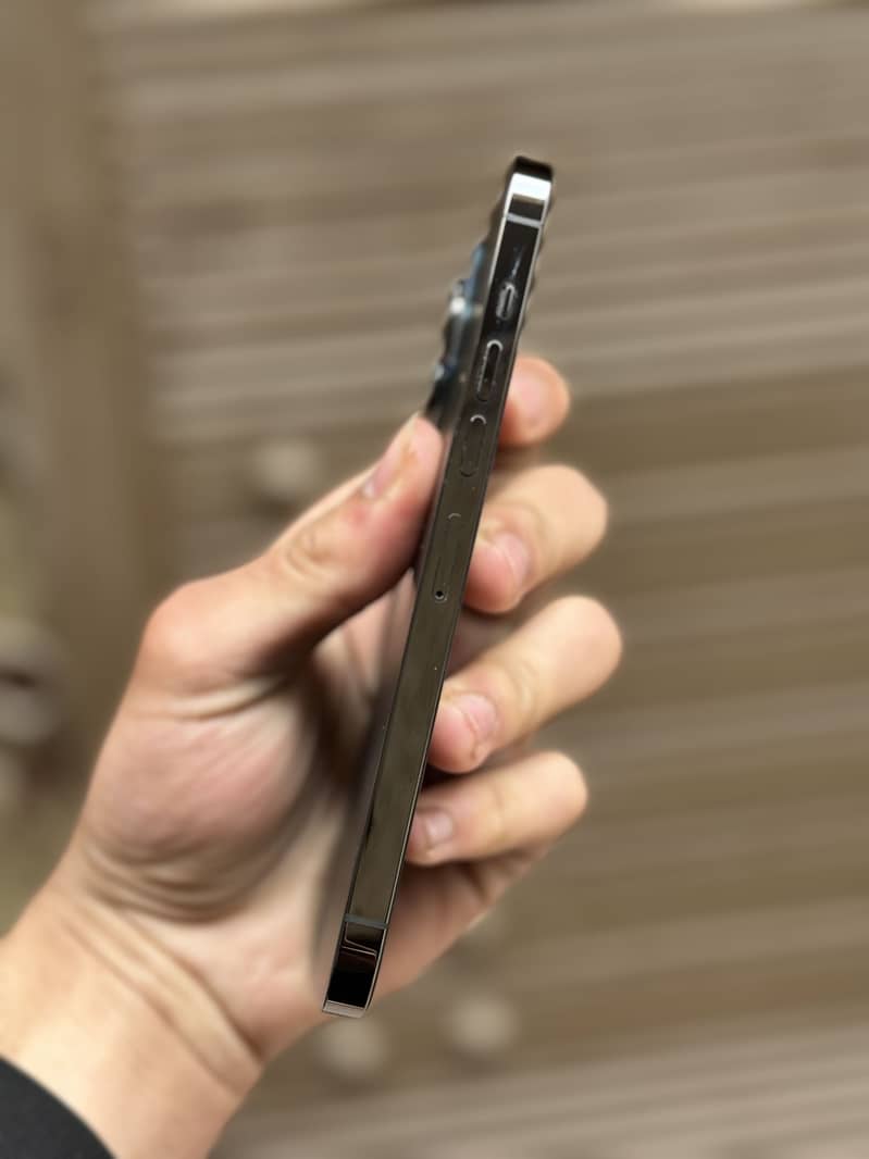 Apple 7