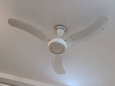 Royal Ceiling Fan