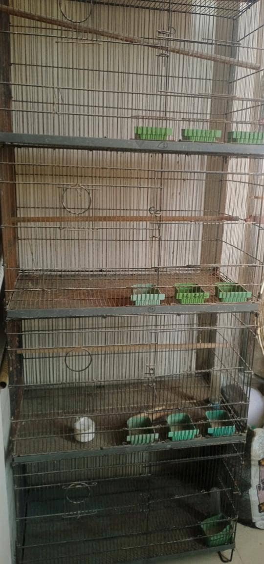 Biird cage 1
