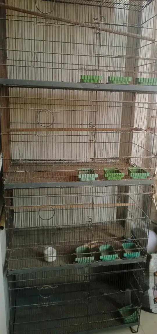 Biird cage — photo 2