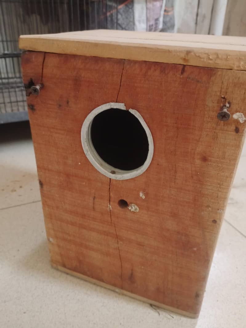 Biird cage 2
