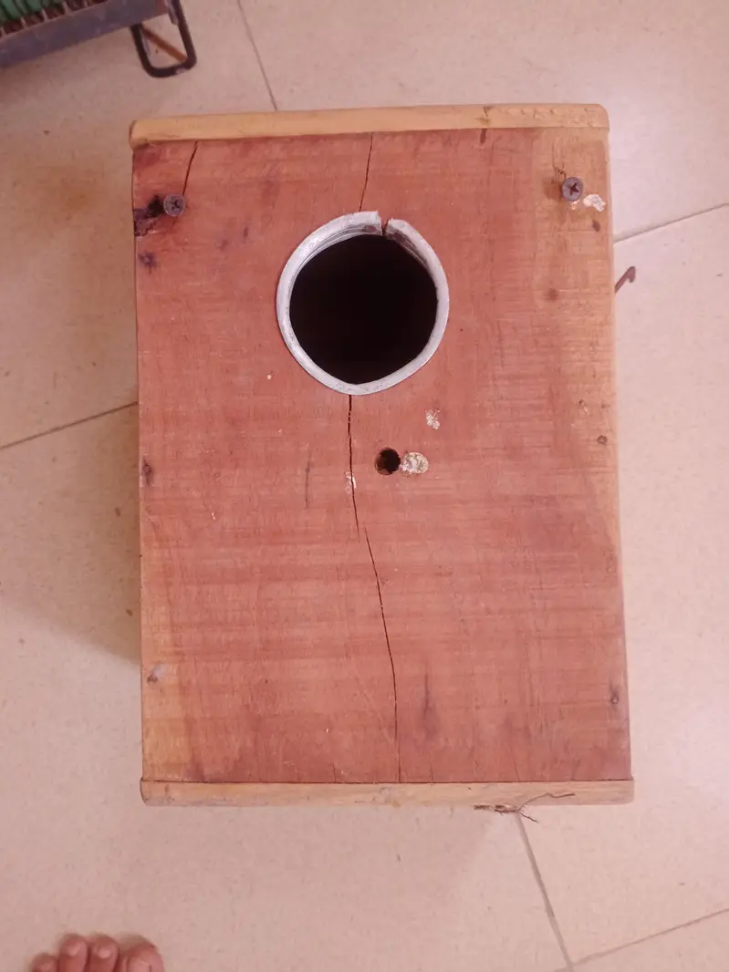 Biird cage — photo 4