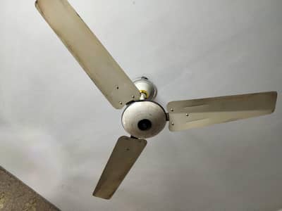 pak fan dc
