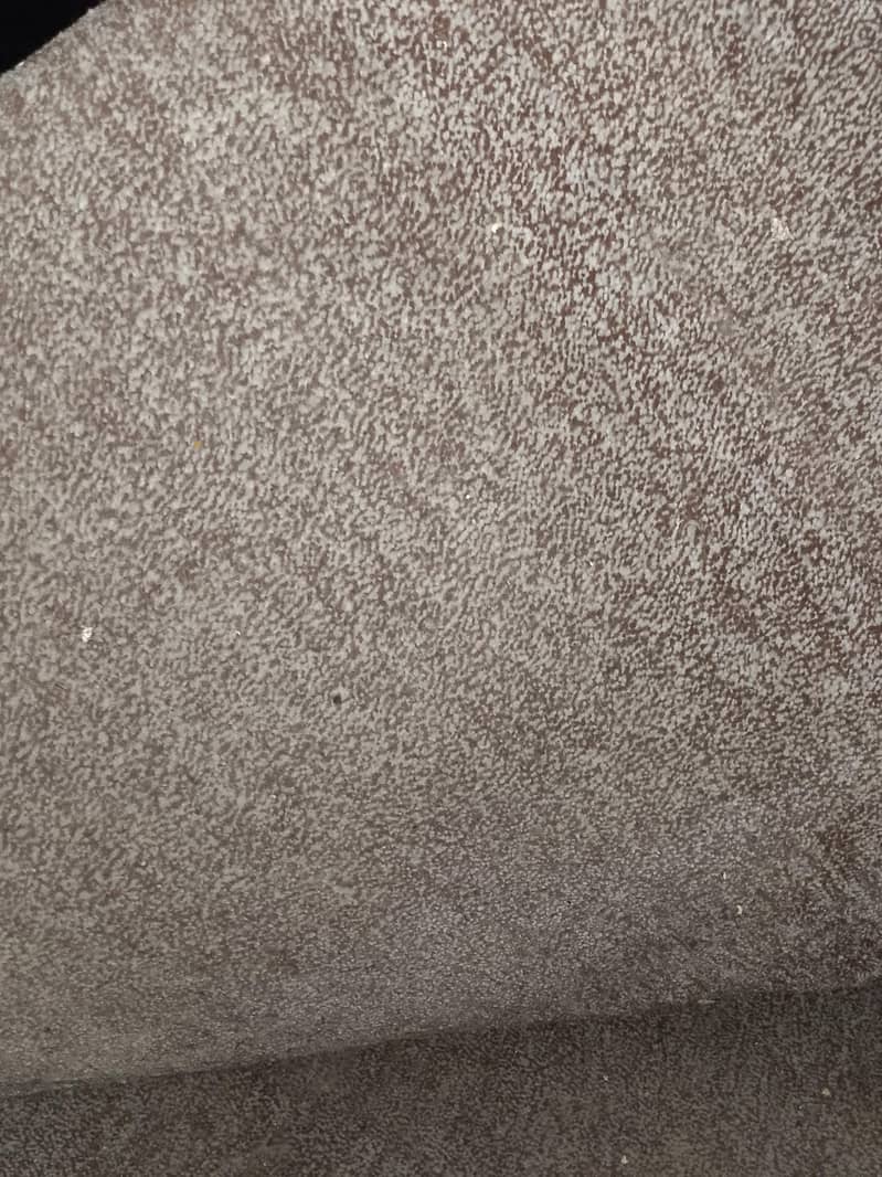 room carpet 1