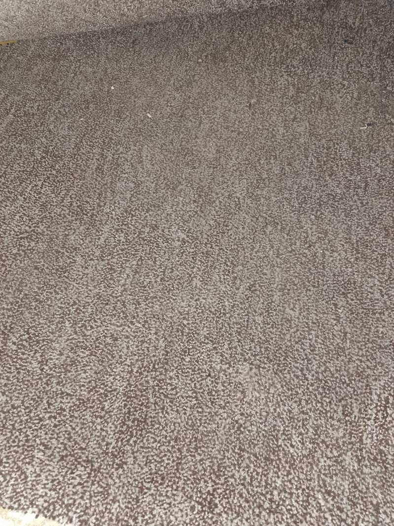 room carpet 4