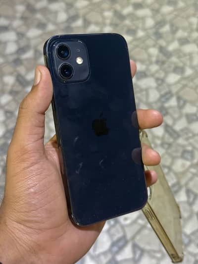 iPhone 12