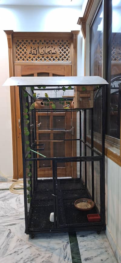 New Premium Bird Cage