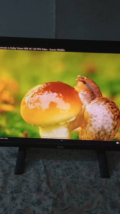 DELL 22 inch LED "FINAL PRICE"