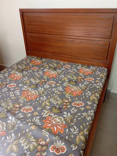 Premium Habitt Single Bed