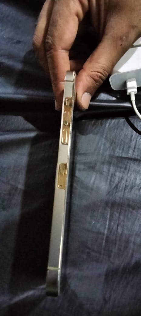 Apple IPhone 12 Pro Max 0