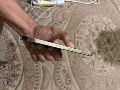 I Phone 12 Pro Max