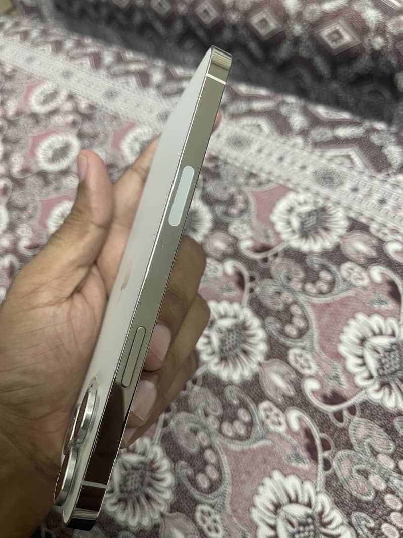 13 pro max 4