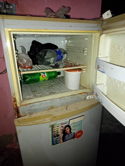 PEL Refrigerator fridge