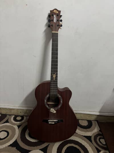 Starway Acoustic Guitar