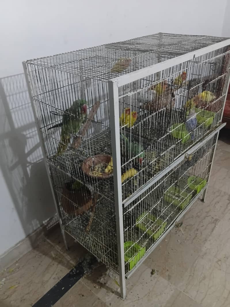 4 portion cage 1