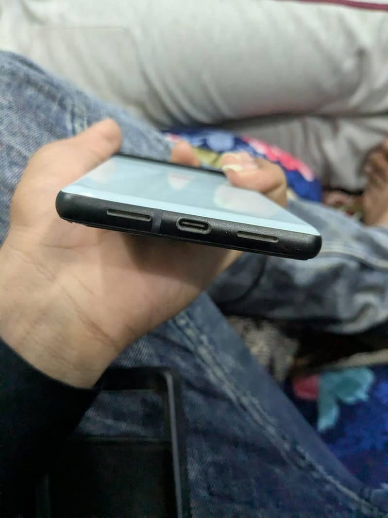 google pexel 6 3