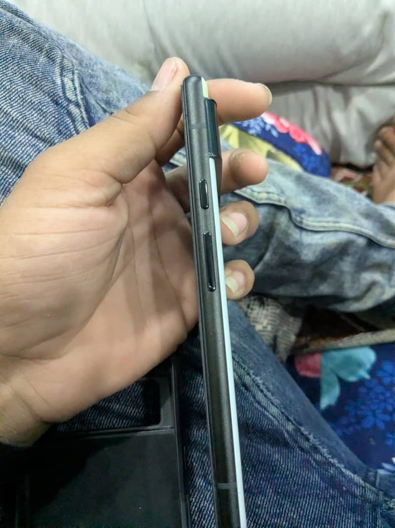 google pexel 6 4