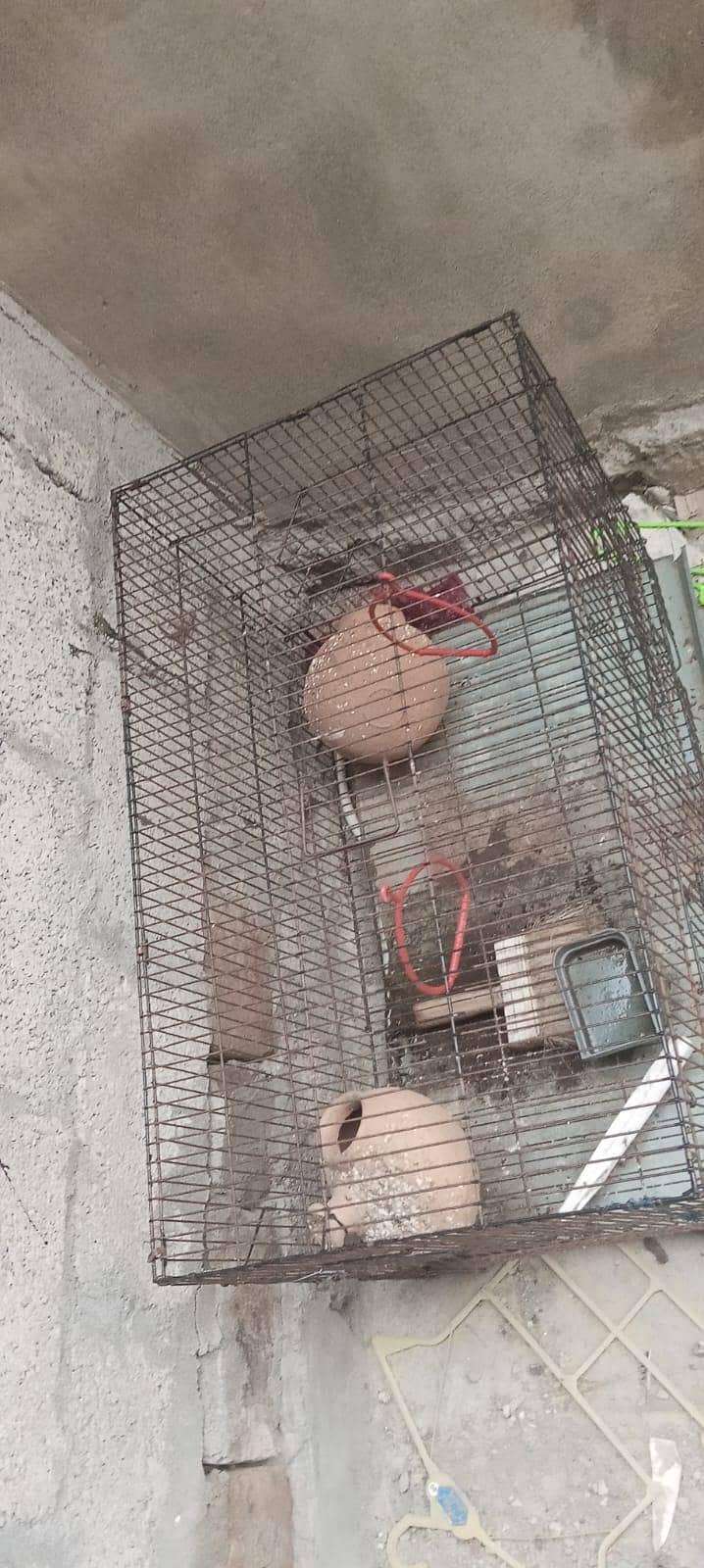 Big cage 0