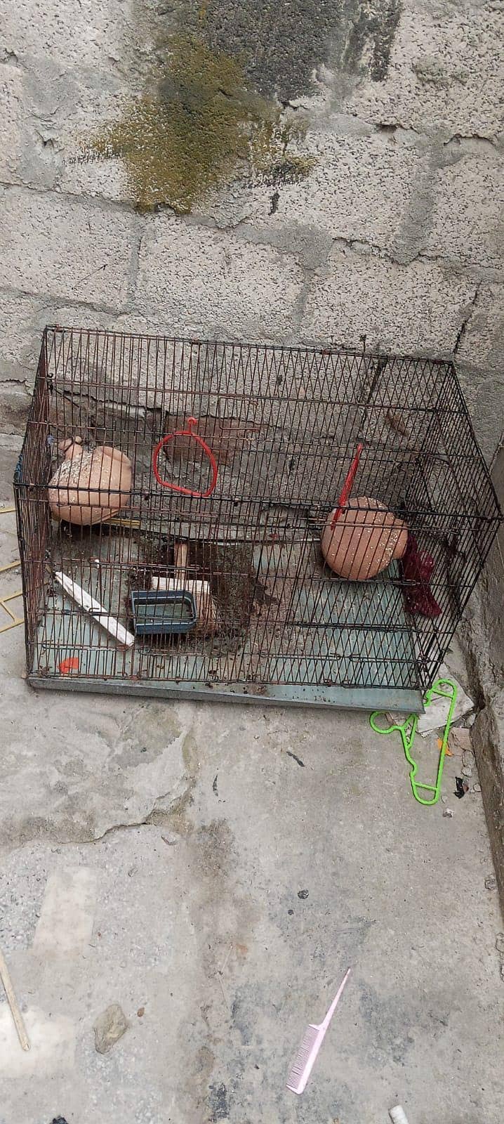 Big cage 1