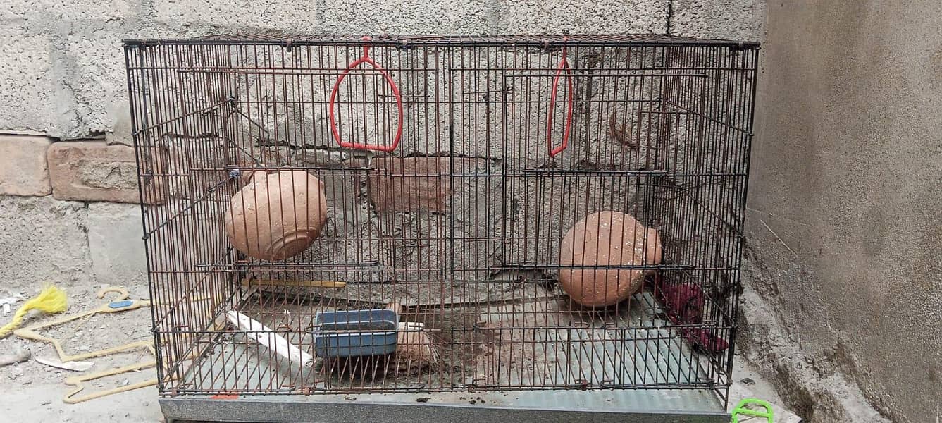 Big cage 2