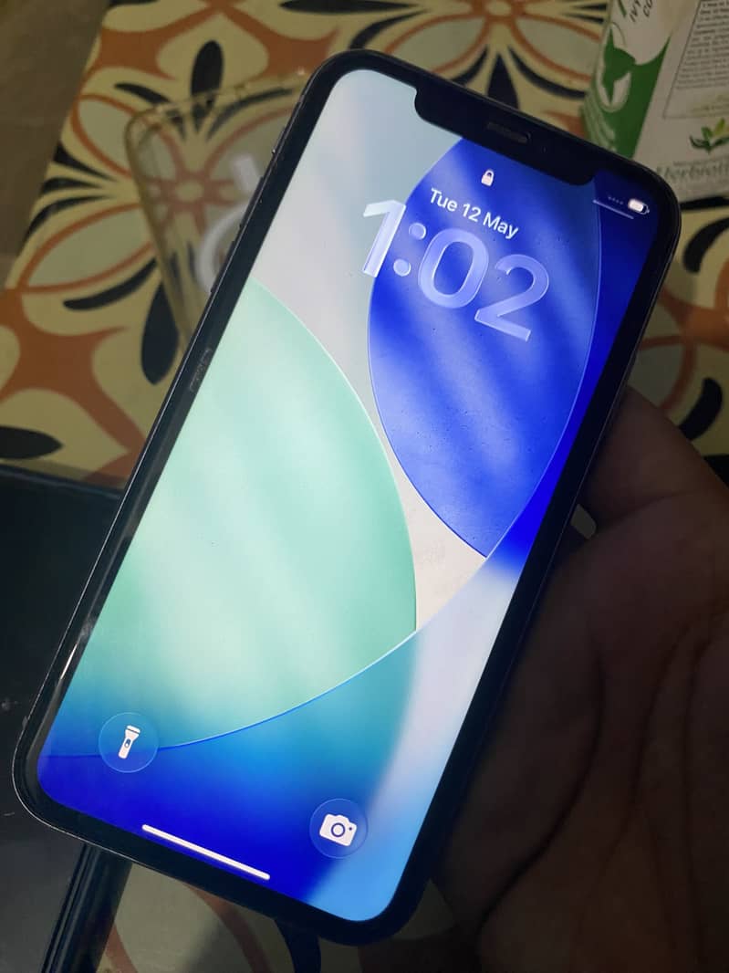 iPhone 11 0