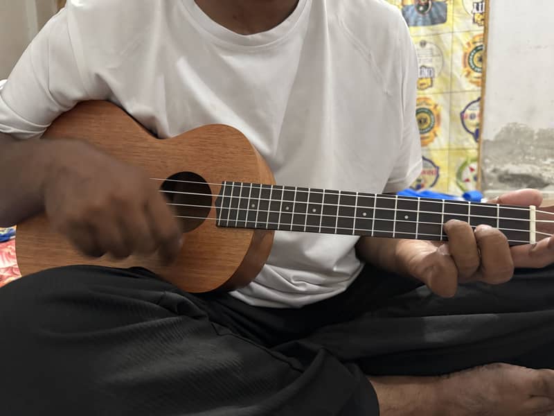 Ukulele 0