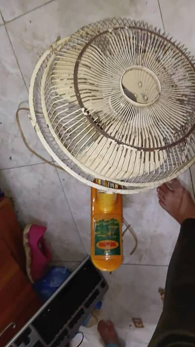 fan for sell