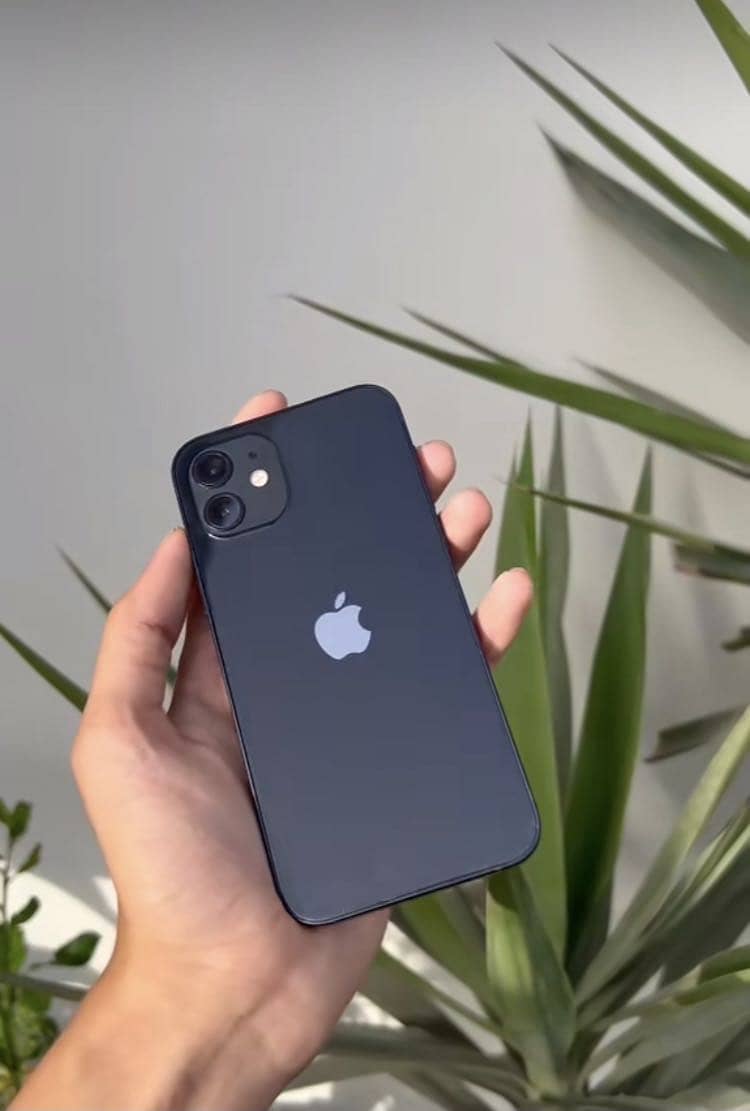 Iphon 12 0