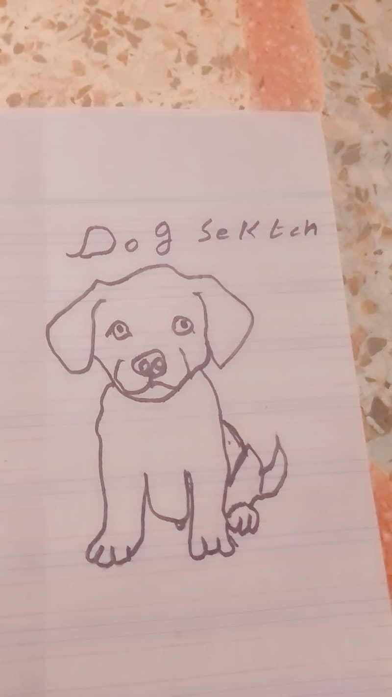 Sektch 2