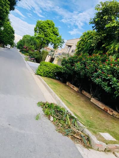 Outer Circle 6 kanal Property