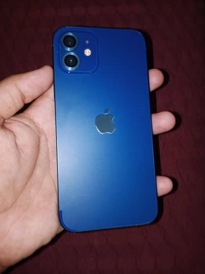Apple Iphone 12