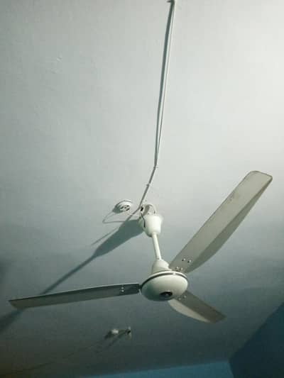 220 fan