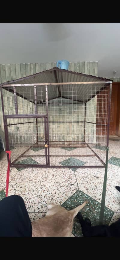 Dog cage