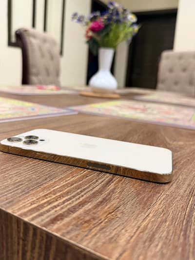 Apple iPhone 12 Pro Max - 256 GB - PTA Approved