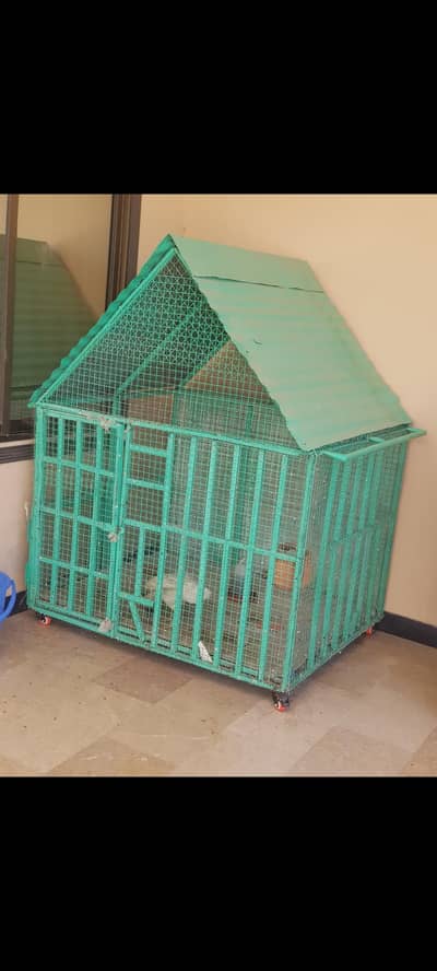 cage for sale    03425939961