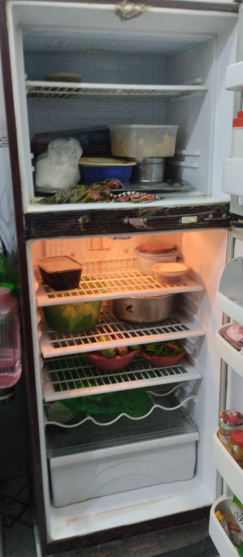 Waves fridge 3