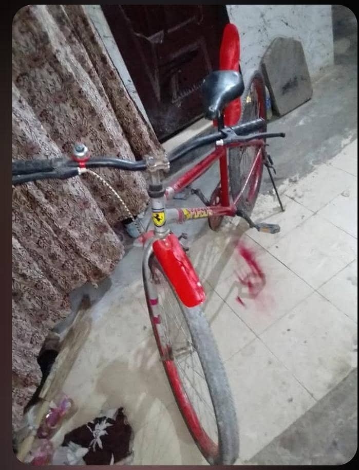 bicycle 1
