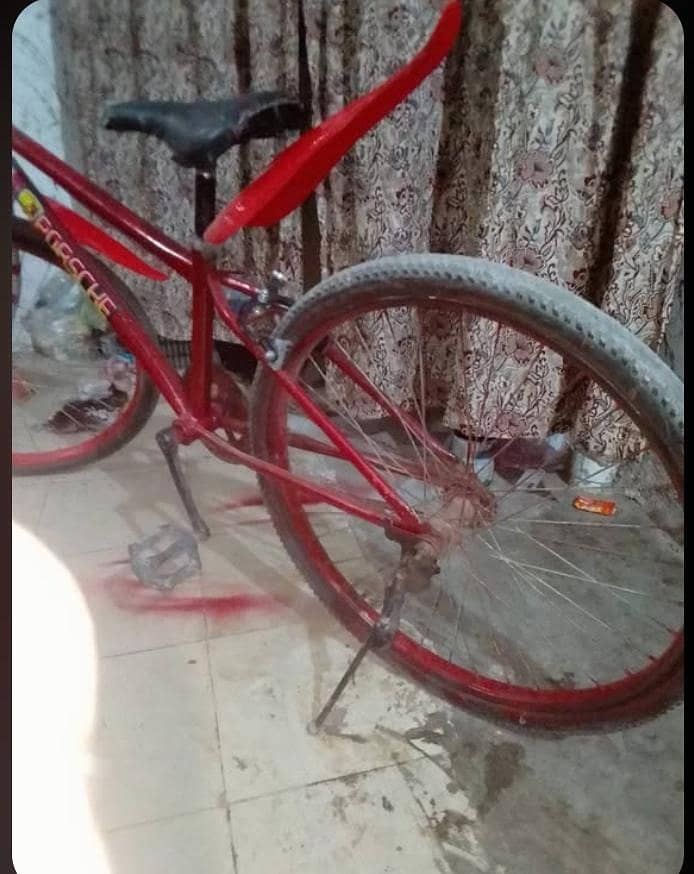 bicycle 2