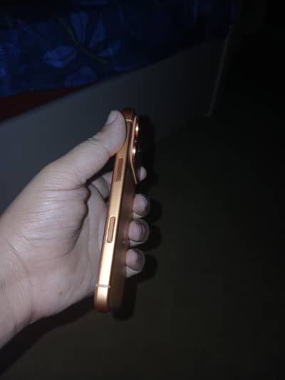 17 Pro orringe