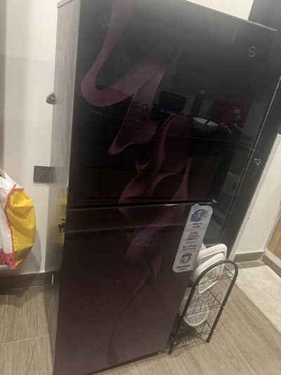 Pel Glass Door Fridge
