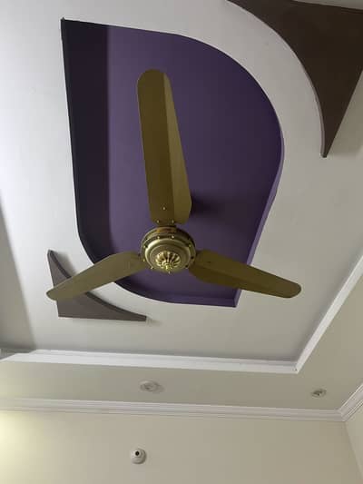 Chenab Ceiling Fans 10/10 (Copper Wiring)